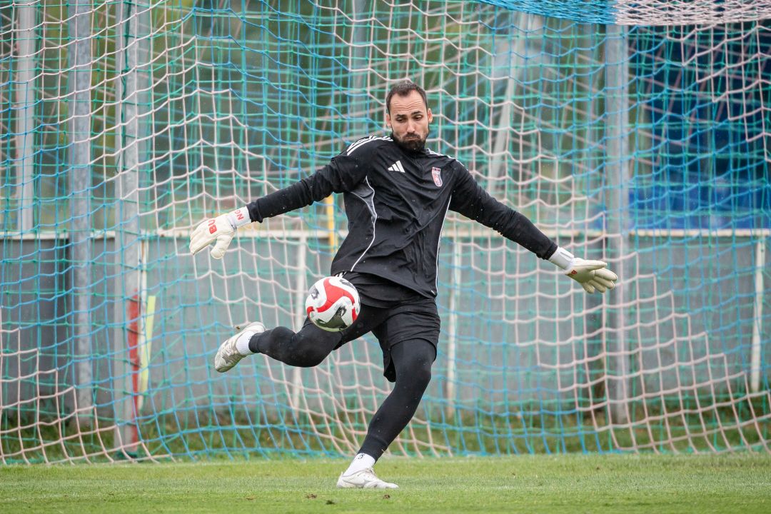 Nagy Gergely