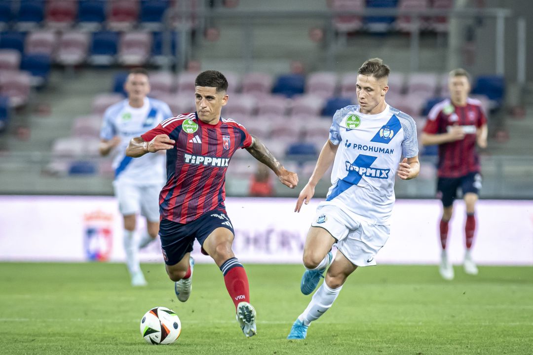 Stefanelli Nicolas