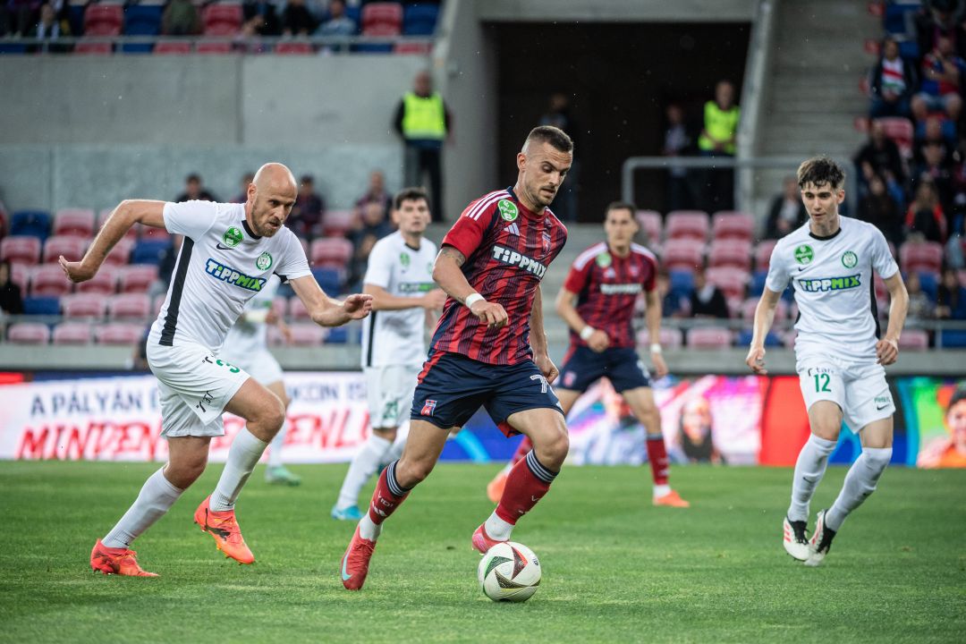 Holender Filip