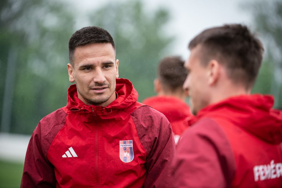 Ivan Milicevic